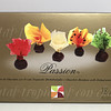 Caja x 18 Unidades de Passion de Frutas Tropicales con Chocolate