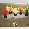Caja x 18 Unidades de Passion de Frutas Tropicales con Chocolate